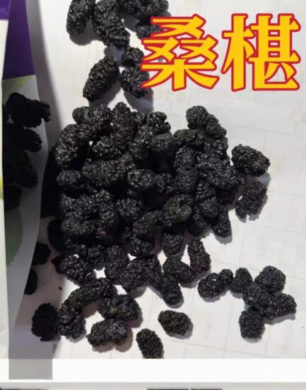 500克 四川攀枝花桑葚干果