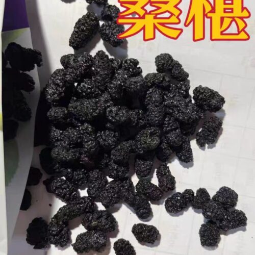 500克 四川攀枝花桑葚干果